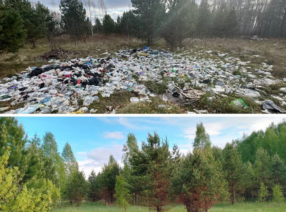 В Уярском районе ликвидировали стихийную свалку. Фото: краевая прокуратура