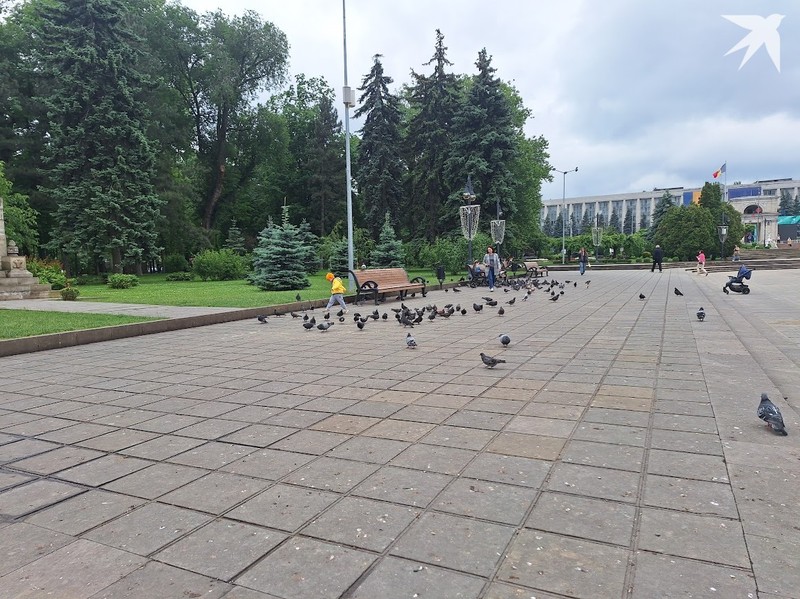 В выходные уже можно будет снять с себя поднадоевшие за май плащи и куртки. Фото: "КП"