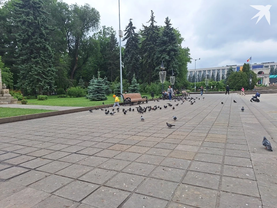 В выходные уже можно будет снять с себя поднадоевшие за май плащи и куртки. Фото: "КП"