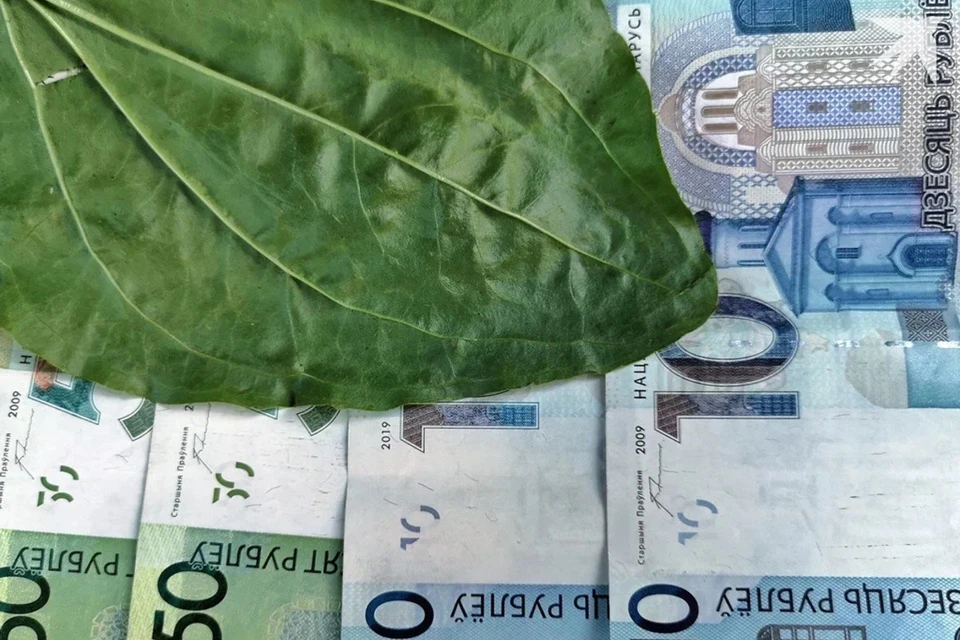 В Витебске главбух перевела себе на счет 270 000 рублей компании из-за знакомого. Снимок носит иллюстративный характер. Фото: архив «КП»