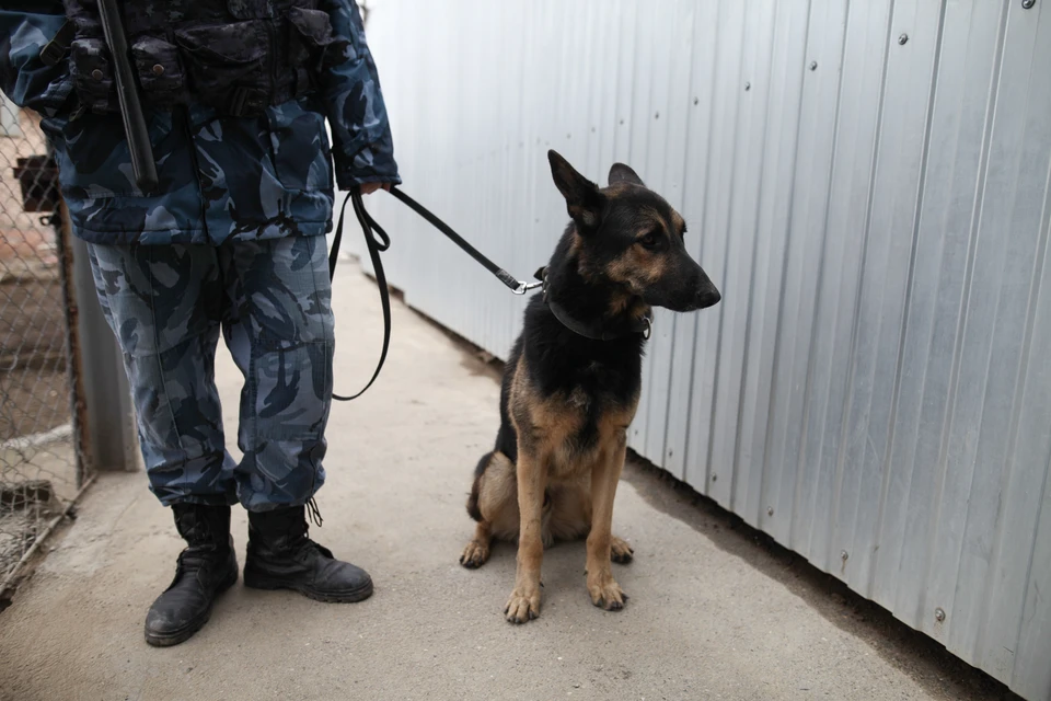 Здания проверяют на наличие взрывоопасных предметов.
