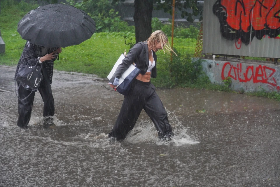 Во Владивостоке облачно, дождь, временами сильный.