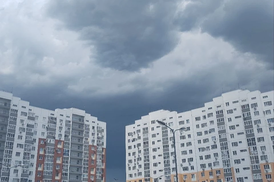 Прогнозируется и сильный дождь местами по области в ближайшие сутки.