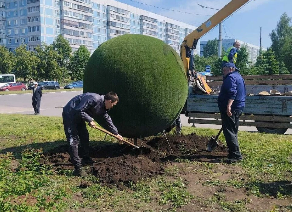 В Заволжье Ульяновска появился топиарий в виде земного шара. ФОТО: тг-канал Центра по благоустройству и озеленению Ульяновска
