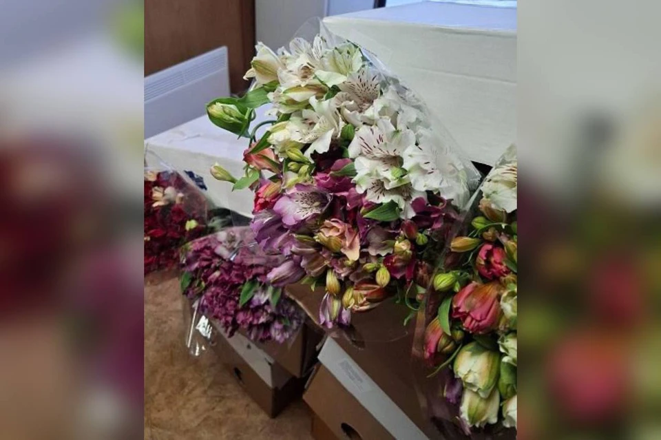 Партию цветов запретили к ввозу Фото: пресс-служба Южного межрегионального управления Россельхознадзора