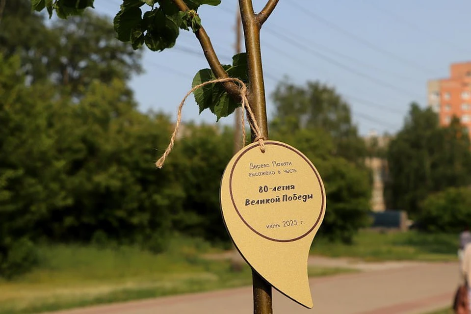 Аллея Славы посвящена юбилею Великой Победы.