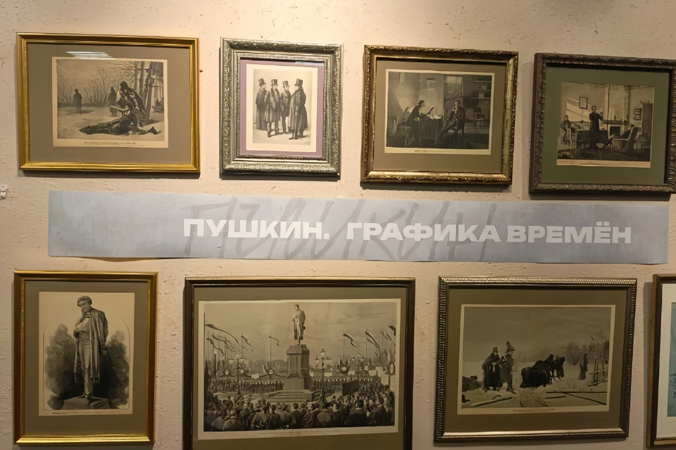 Приморцев решили порадовать необычной выставкой