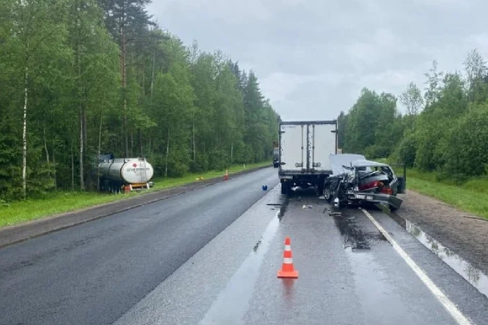 В ДТП погиб один человек. Фото: пресс-служба ГУ МВД по СПб и ЛО