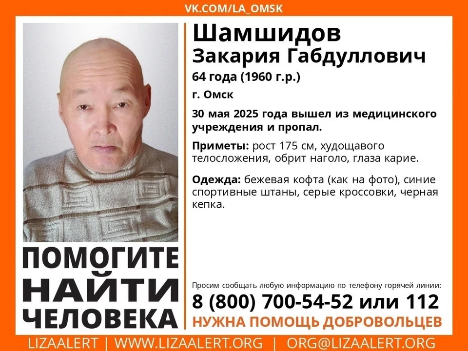 Фото: поисковый отряд «ЛизаАлерт»