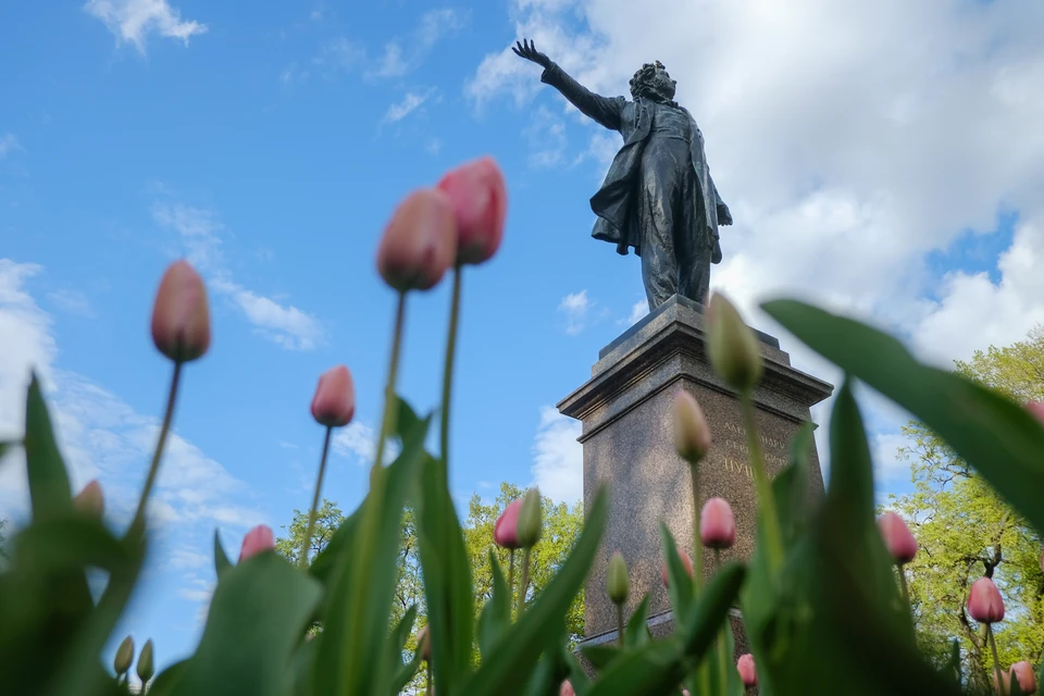 Все концерты бесплатны.