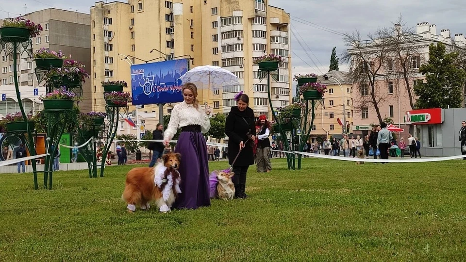 Город готовится к празднованию