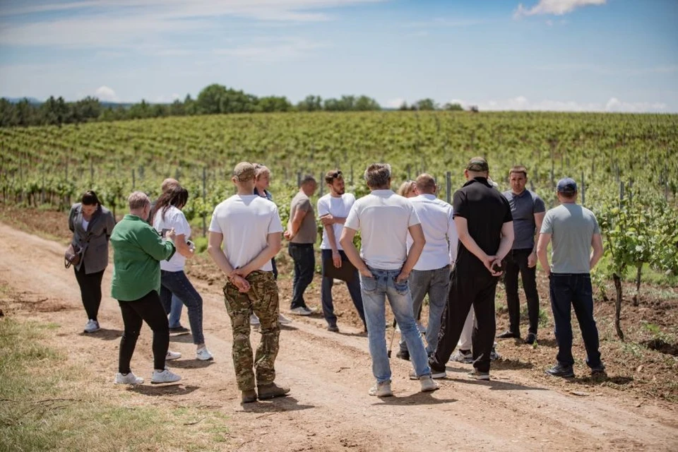 Участникам СВО дают возможность получить грант «Агростартап» от правительства Севастополя. Фото: sev.gov.ru