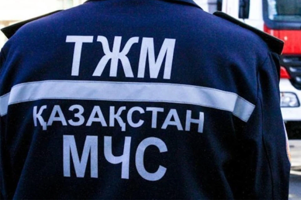 Источник: ortcom.kz