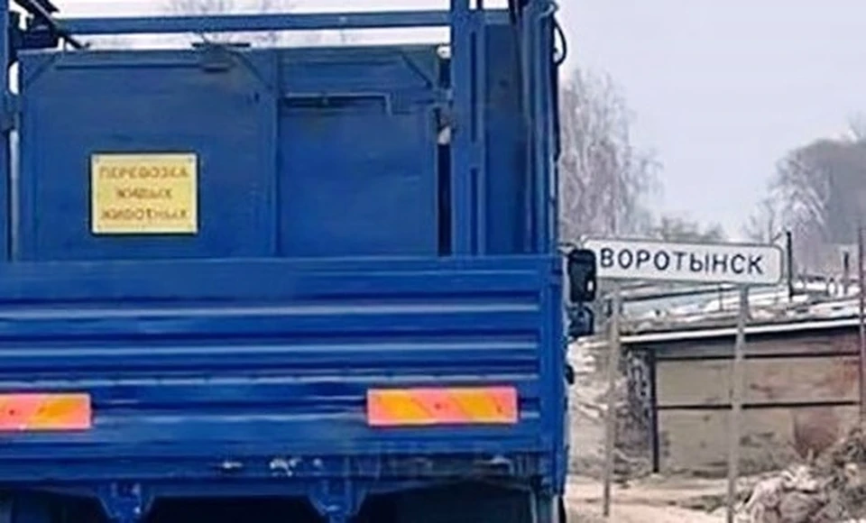 Воротынск в смраде: жители требуют закрыть убойный цех.