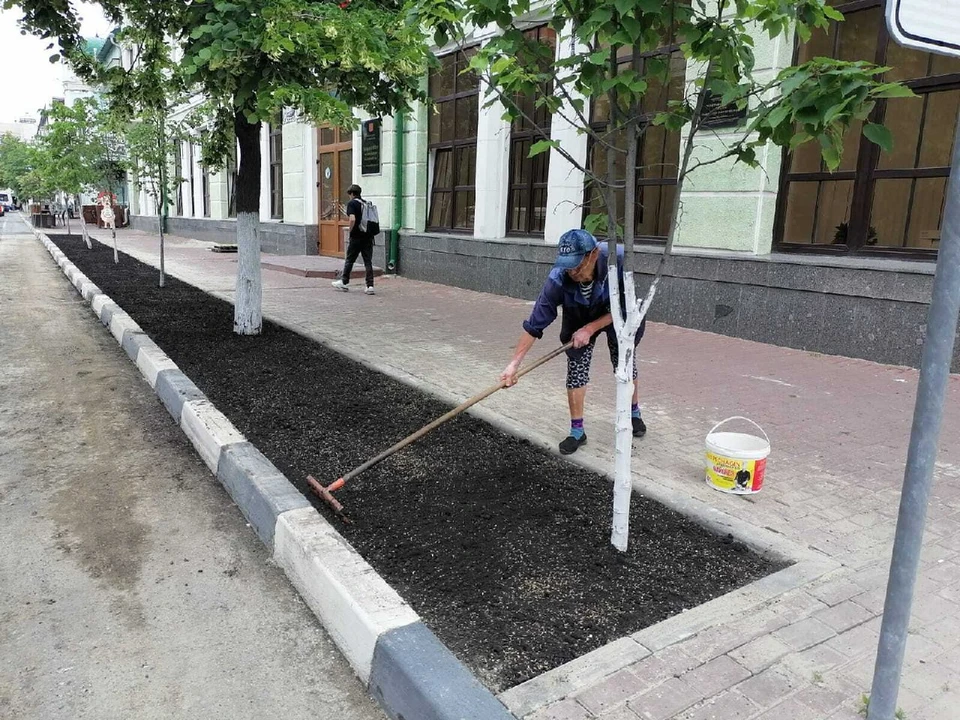 На Гончарова в Ульяновске высадили семена растений для газона. ФОТО: тг-канал Центра по благоустройству и озеленению Ульяновска