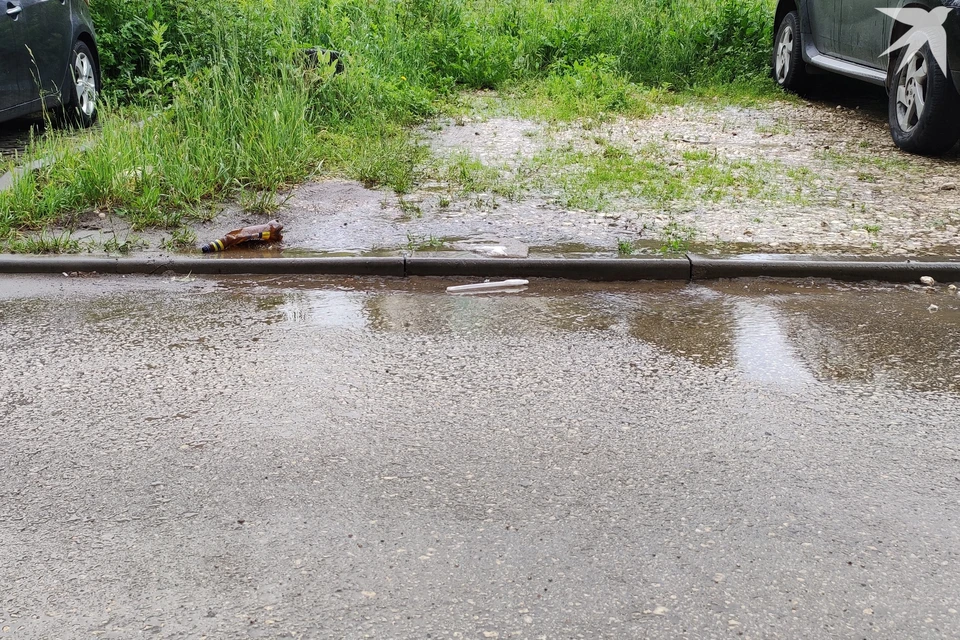 Есть и положительные моменты – вода в ручье без рыбного запаха.