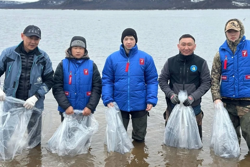 В реку Анабар выпустили почти 1,5 миллиона мальков чира. Фото: «Алмазы Анабара»