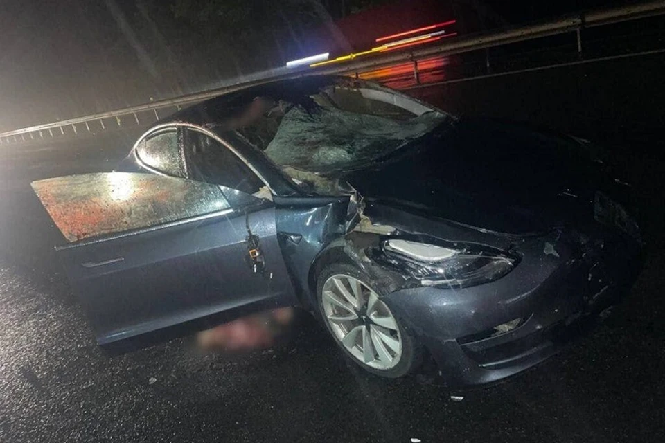 Под Минском Tesla сбила трех лосей. Фото: УГАИ УВД Миноблисполкома.