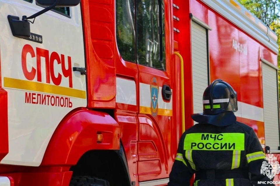 202 пожара потушили спасатели в регионе с 9 по 15 июня. Фото: ГУ МЧС России по Запорожской области