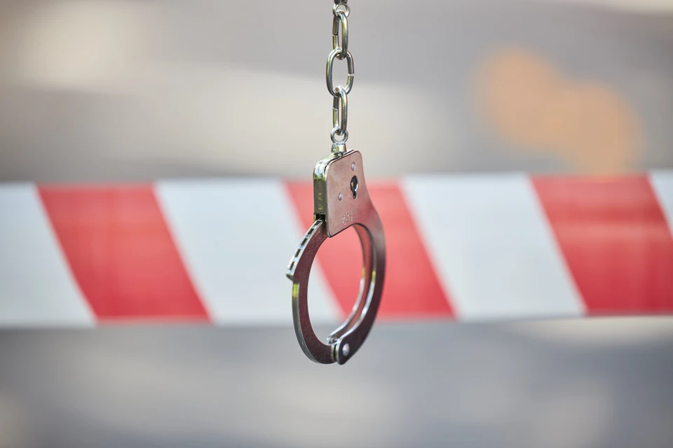 Полиция Новосибирска проверит инцидент с нападением голого мужчины в СНТ