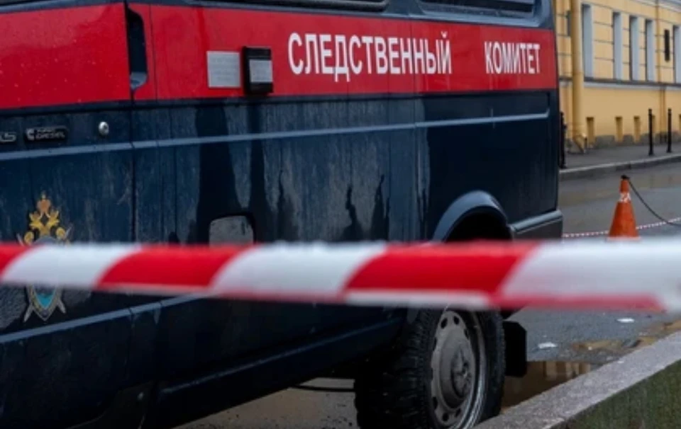 Когда об этом узнали правоохранители, то женщину задержали.