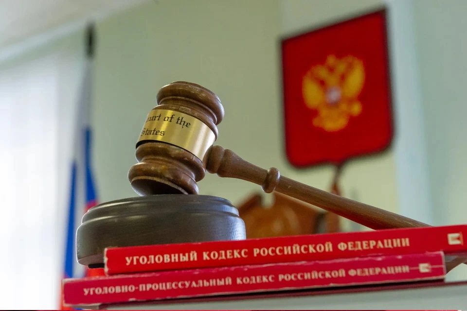Перед судом предстанет мужчина, обвиняемый в разбойном нападении и убийстве двух человек в ТиНАО