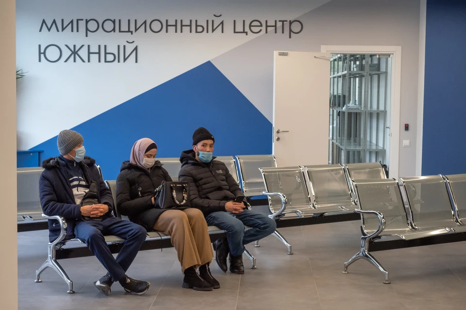 В 2024 году в РФ прибыло более 6 млн мигрантов, половина из них в поисках работы