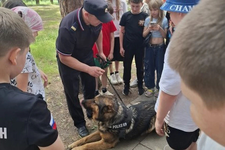 Фото: Пресс-служба регионального УМВД