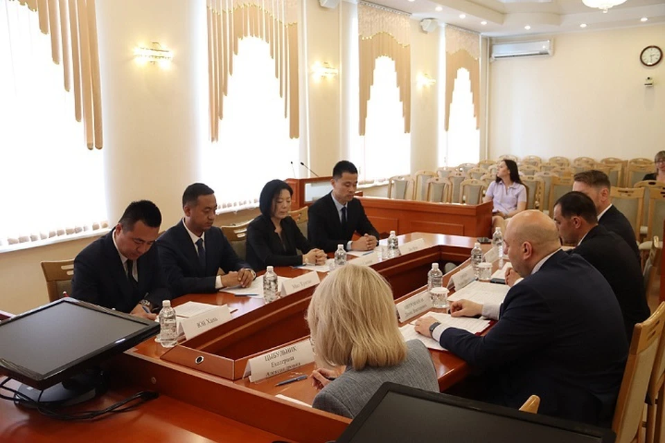 Китайские инвесторы запустят производство древесного угля в Хабаровске