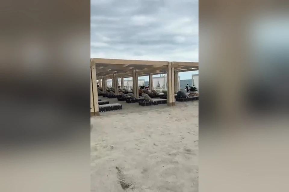 Фото: скриншот видео