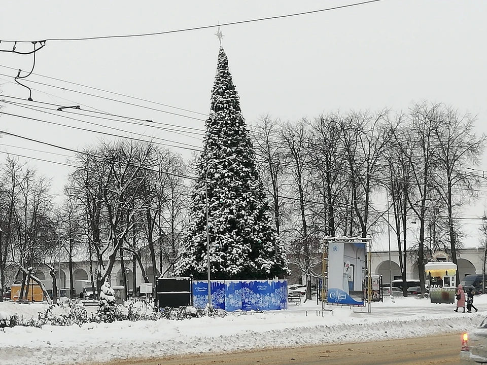 Фото: фотоархив портала "КП в Костроме"