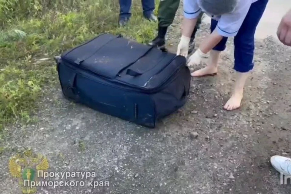Чемодан с трупом нашли дети. Фото: принтскрин видео, прокуратура Приморья.
