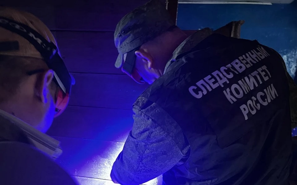 Фото: телеграм-канал «СУ СК России по Омской области»