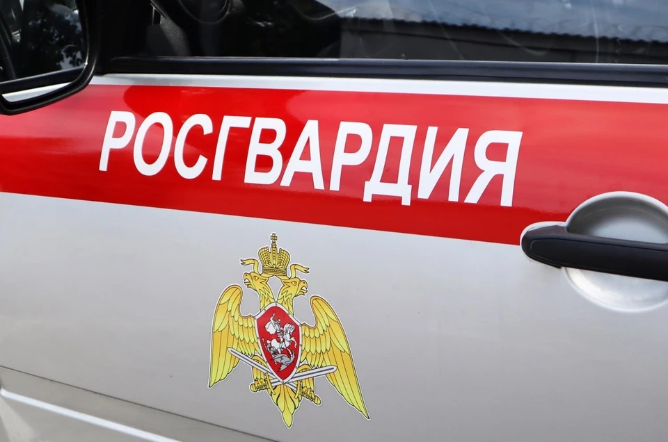 Фото: Росгвардия СКФО