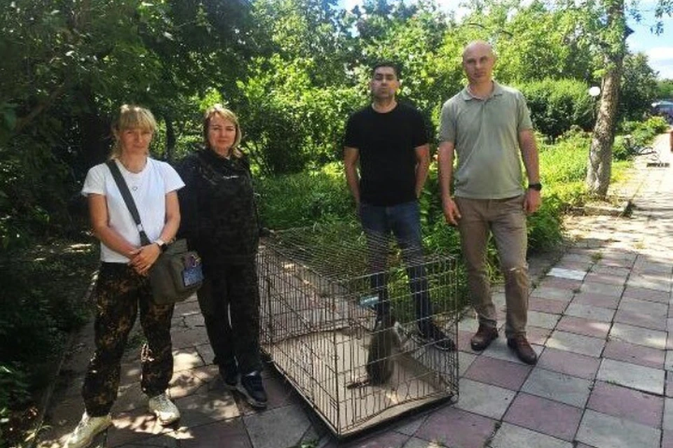 Фото: Минприроды ЛНР