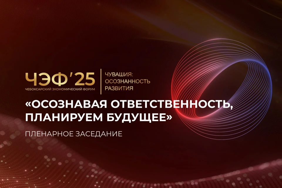 Фото предоставлено министерством цифрового развития Республики Чувашия