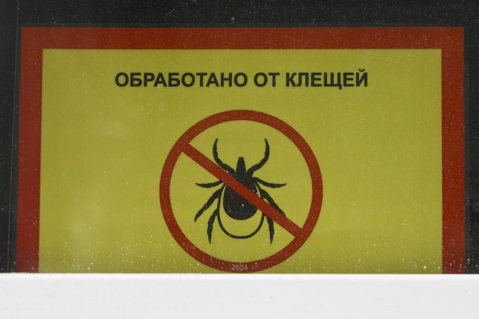 Клещи