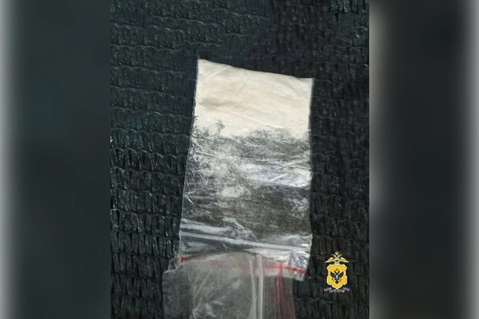 Синтетические наркотики пытался ввезти в регионе житель Крыма. Фото: ГУ МВД России по Херсонской области