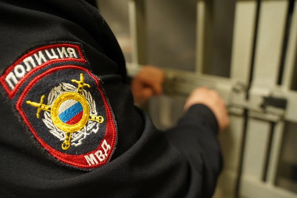 В настоящее время с подозреваемыми проводятся необходимые следственные действия