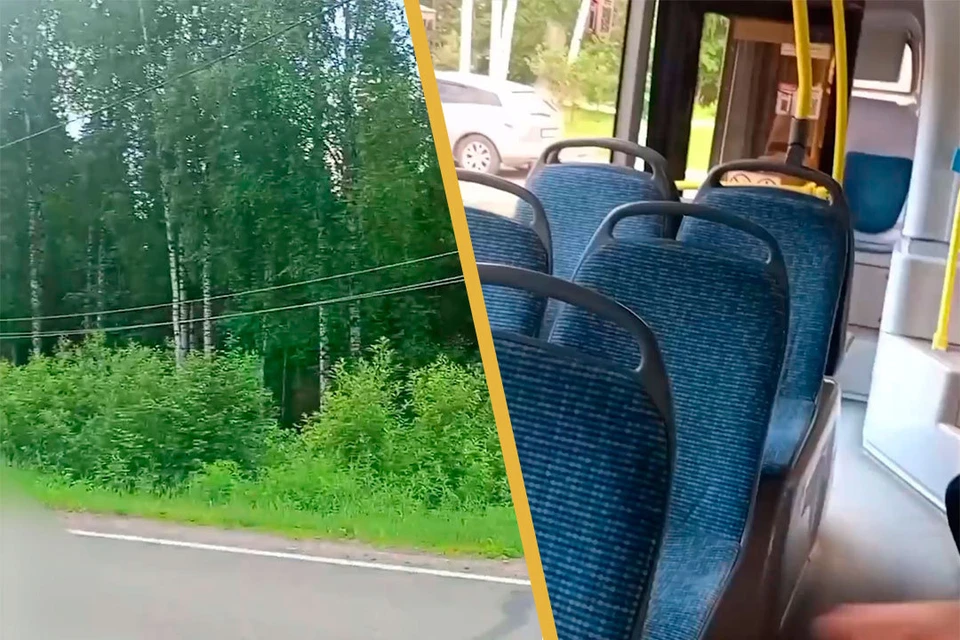 В департаменте транспорта сообщили, что один из подростков в течение 32 секунд без перерыва нажимал кнопку требования остановки. Фото: скриншот видео.