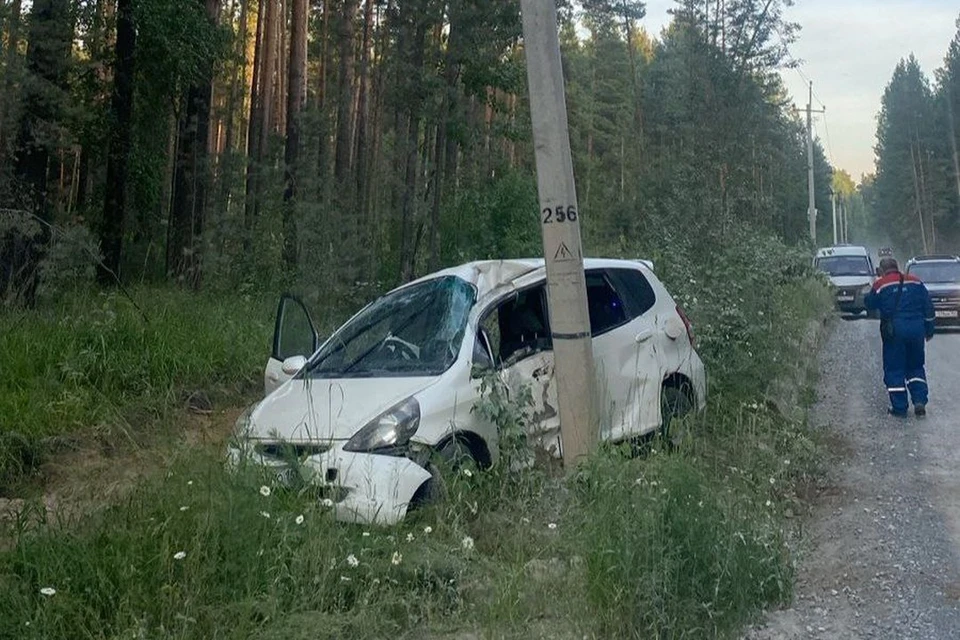 Автомобиль врезался в опору ЛЭП и оставил без света четыре поселка под Новосибирском. Фото: «Россети Новосибирск»