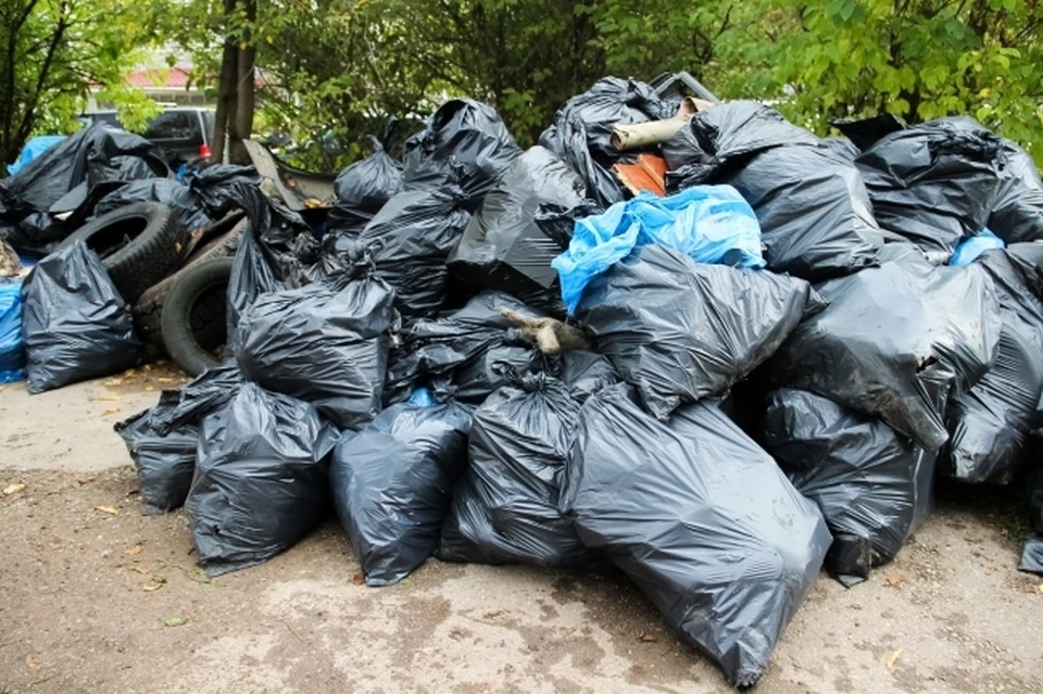 В ЕАО ликвидирована несанкционированная свалка биологических отходов