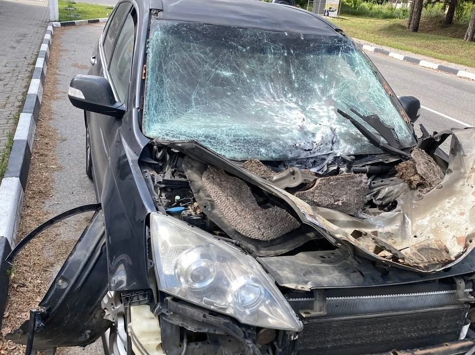Женщин направили в Белгород на скорой помощи. Фото Telegram-канала губернатора Белгородской области