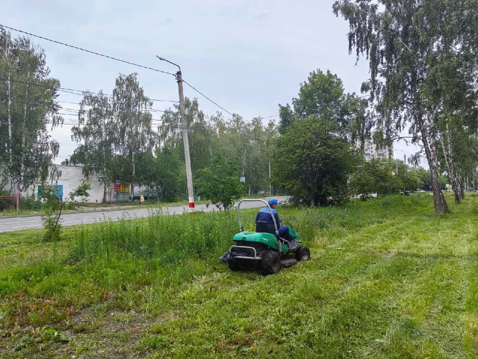 Ульяновские озеленители скосили траву на 7 улицах. ФОТО: тг-канал Центра по благоустройству и озеленению Ульяновска