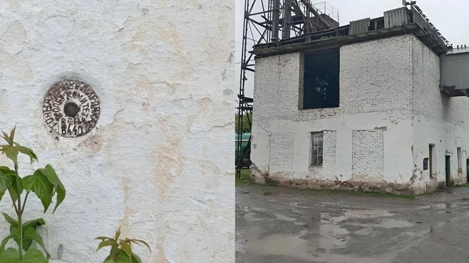В Новосибирске на птицефабрике обнаружили нивелирный пункт. Фото: Росреестр Новосибирской области