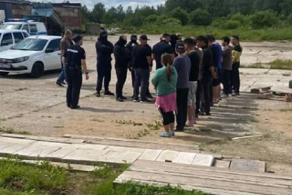Полицейские выявили более 500 нарушений, совершенных мигрантами. Фото: УМВД РФ по Ярославской области.