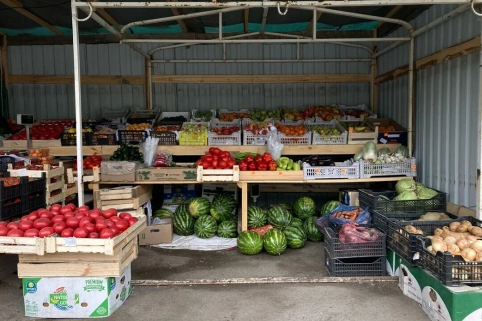 Помидоры в мае подешевели на 24%