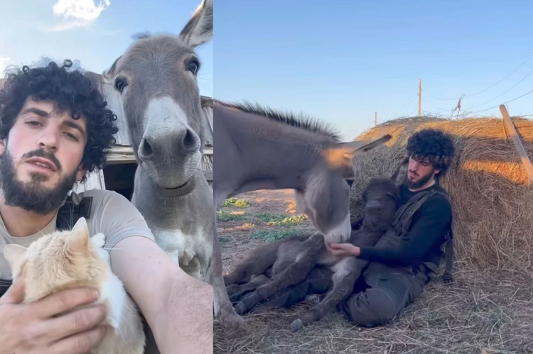 Завел «кошачье родильное отделение»: фермер из глубинки очаровал подписчиков роликами из хлева