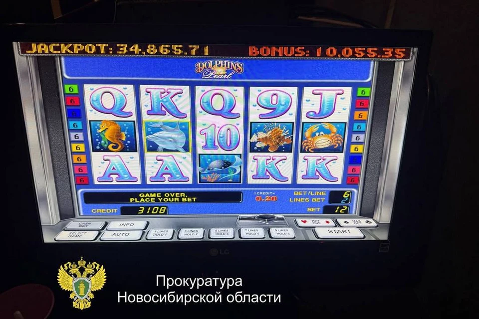 В Новосибирске за неделю нашли и закрыли два подпольных казино. Фото: прокуратура Новосибирской области
