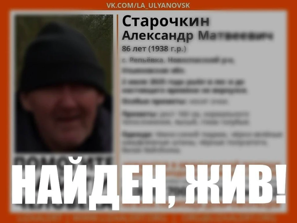 В Ульяновской области 2 июля пропал 86-летний житель села Репьевка. Фото ЛизаАлерт
